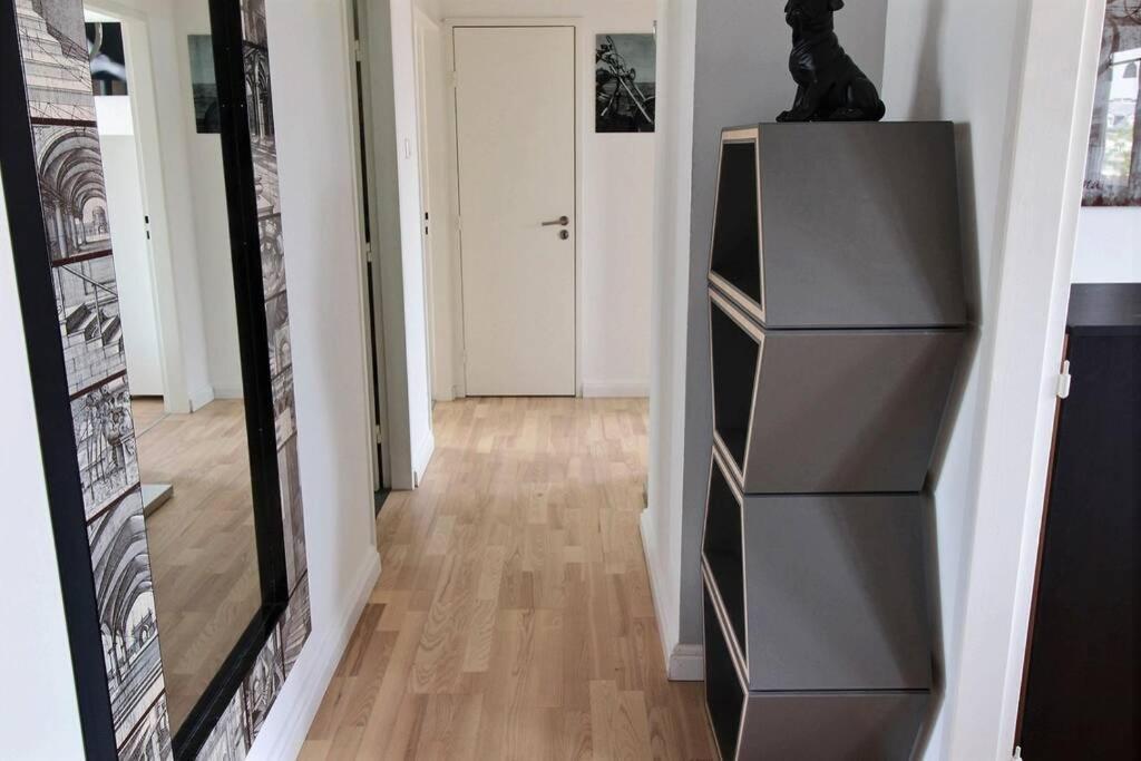 3 Pieces En Plein Centre De Strasbourg Διαμέρισμα Εξωτερικό φωτογραφία